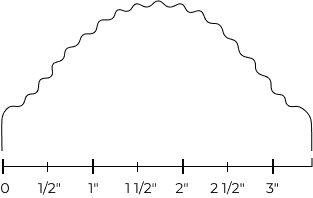 scallop Contour image
