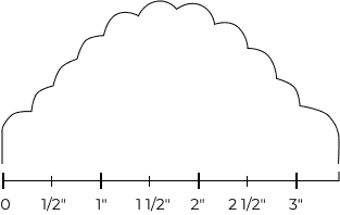 scallop Contour image