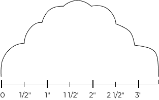 scallop Contour image