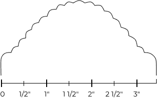 scallop Contour image