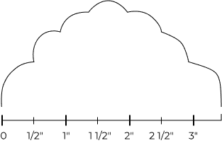 scallop Contour image