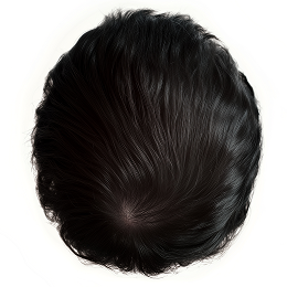hair-direction-image