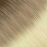 #N8C/60-Almond Glow