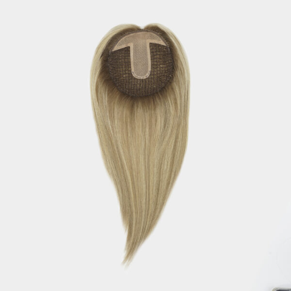 TEENA Fishnet Hair Topper With Silk Top (2)